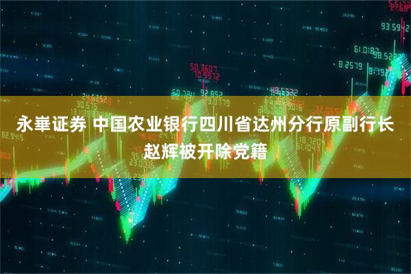 永崋证券 中国农业银行四川省达州分行原副行长赵辉被开除党籍