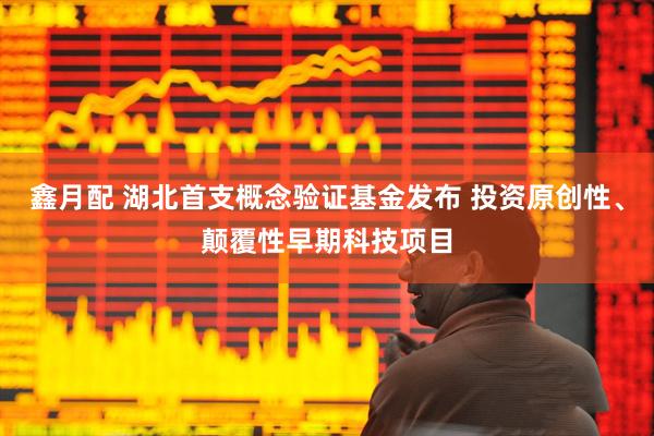 鑫月配 湖北首支概念验证基金发布 投资原创性、颠覆性早期科技项目